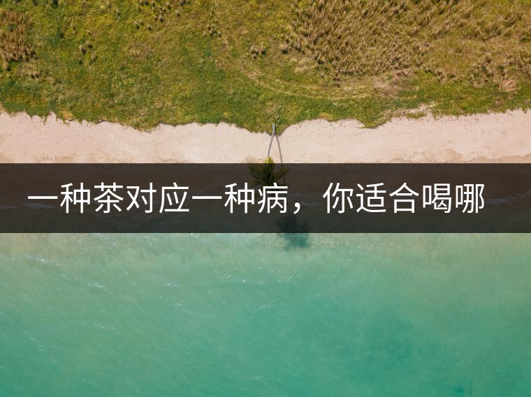 一種茶對(duì)應(yīng)一種病，你適合喝哪一種呢？