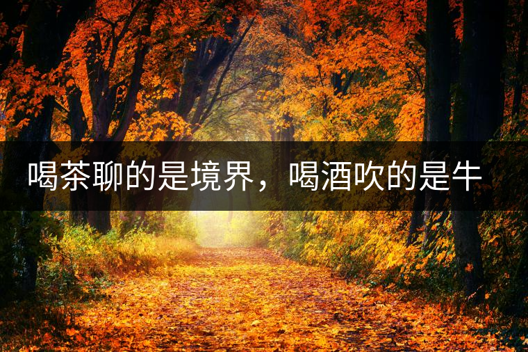 喝茶聊的是境界，喝酒吹的是牛皮