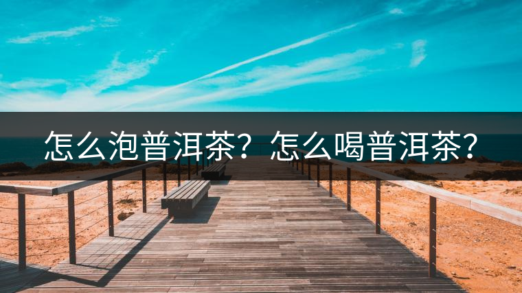 怎么泡普洱茶？怎么喝普洱茶？