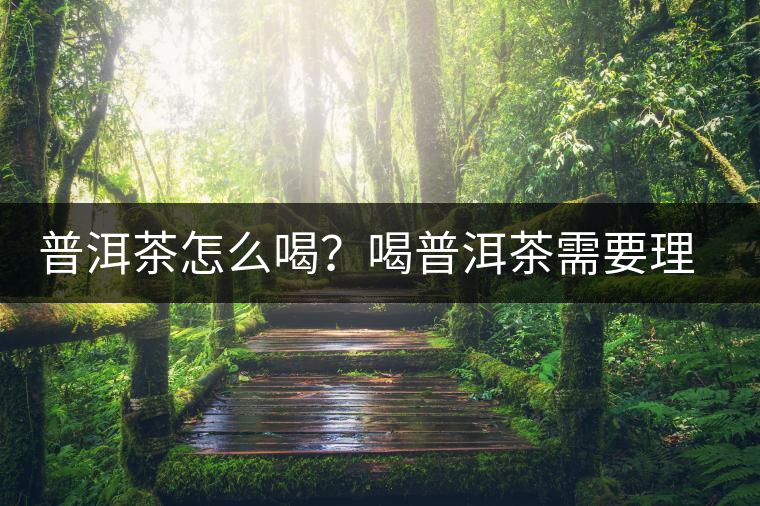 普洱茶怎么喝？喝普洱茶需要理由嗎？