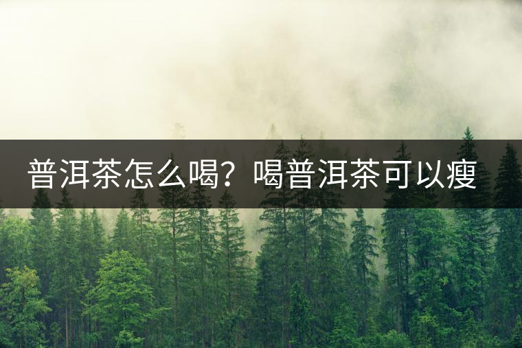 普洱茶怎么喝？喝普洱茶可以瘦腹嗎？