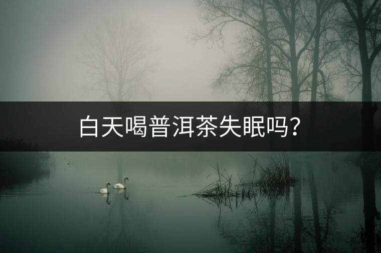 白天喝普洱茶失眠嗎？