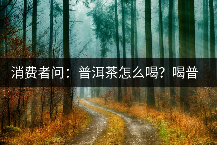 消費者問：普洱茶怎么喝？喝普洱茶要怎么沖泡好？