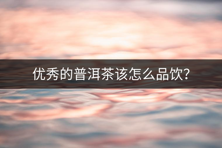 優(yōu)秀的普洱茶該怎么品飲？