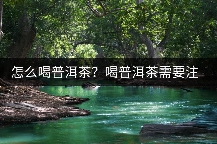 怎么喝普洱茶？喝普洱茶需要注意的要點(diǎn)
