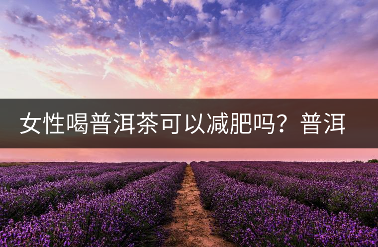 女性喝普洱茶可以減肥嗎？普洱茶的功效又有哪些呢？