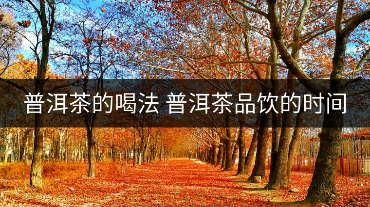 普洱茶的喝法 普洱茶品飲的時間