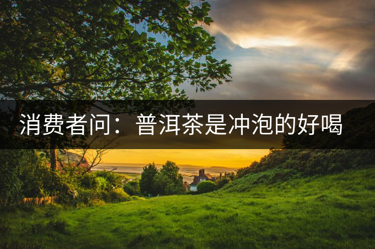 消費(fèi)者問(wèn)：普洱茶是沖泡的好喝？還是煮著喝好？