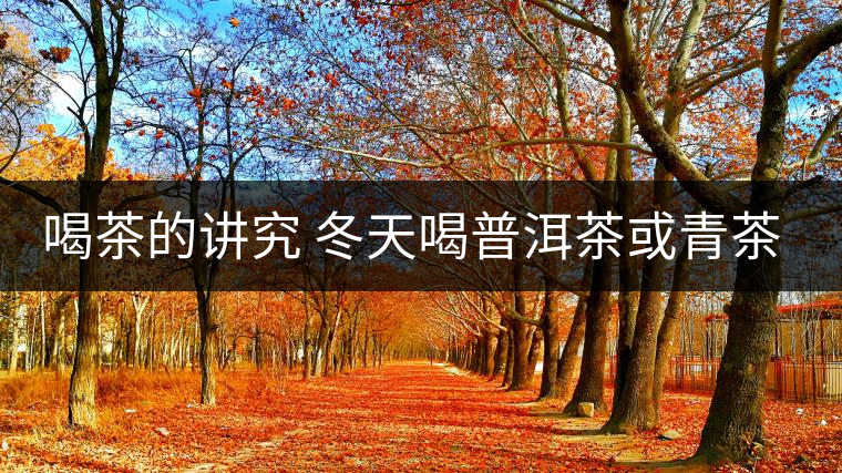 喝茶的講究 冬天喝普洱茶或青茶更益健康 喝茶的講究 冬天喝普洱茶或青茶更益健康