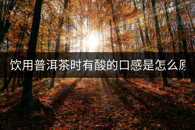 飲用普洱茶時(shí)有酸的口感是怎么原因？