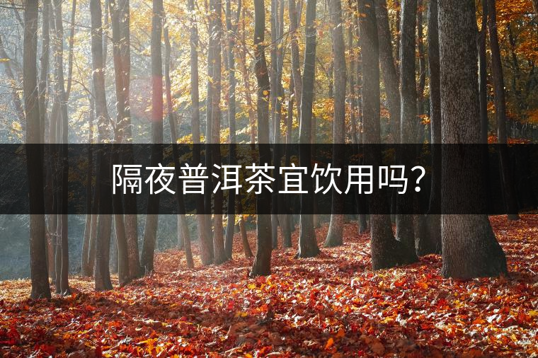 隔夜普洱茶宜飲用嗎？