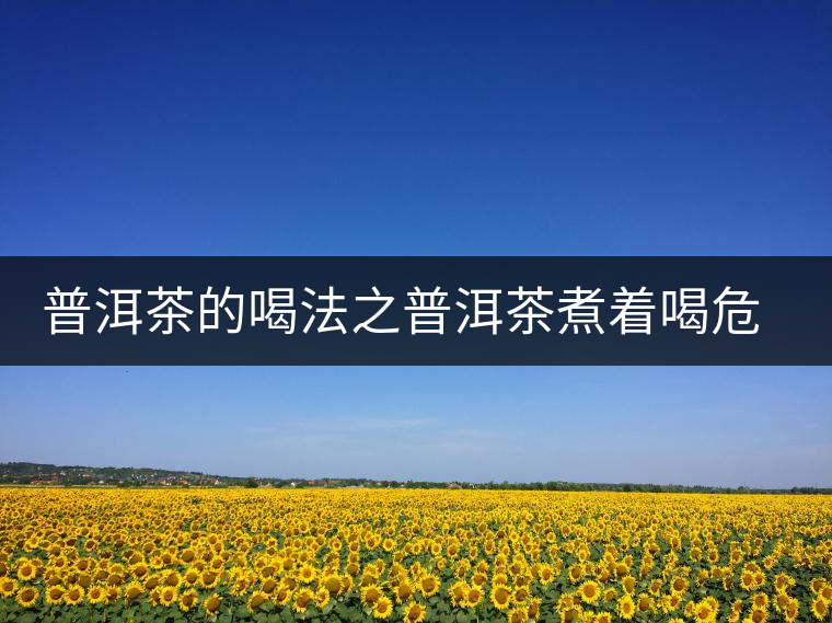 普洱茶的喝法之普洱茶煮著喝危害大 普洱茶的喝法之普洱茶煮著喝危害大