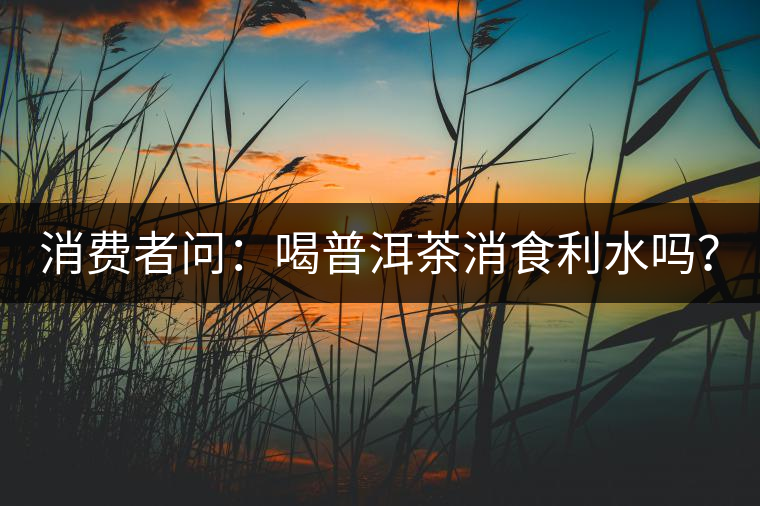 消費(fèi)者問(wèn)：喝普洱茶消食利水嗎？
