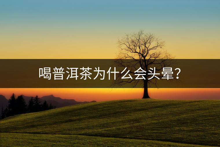 喝普洱茶為什么會(huì)頭暈？