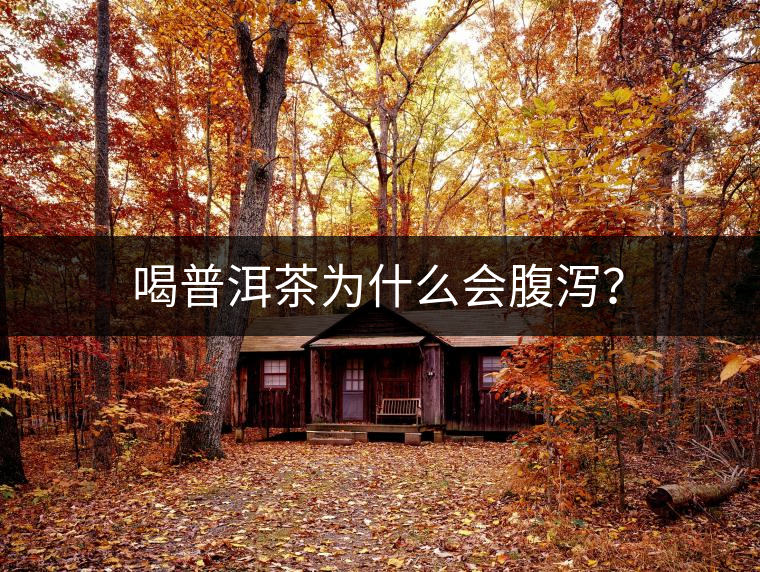 喝普洱茶為什么會腹瀉？