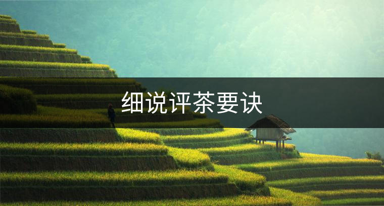 細(xì)說評茶要訣