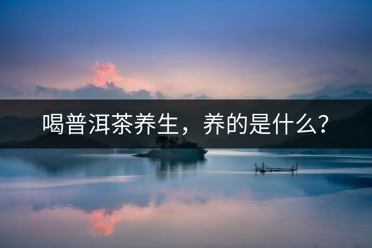 喝普洱茶養(yǎng)生，養(yǎng)的是什么？