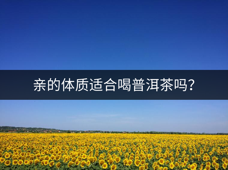親的體質(zhì)適合喝普洱茶嗎？