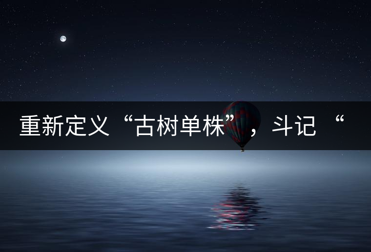 重新定義“古樹單株”，斗記 “超級審評”有償招募告罄在即！