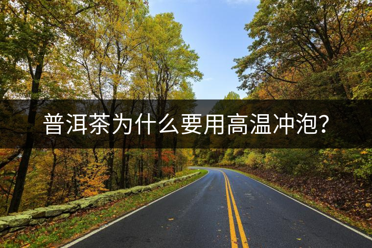 普洱茶為什么要用高溫沖泡？