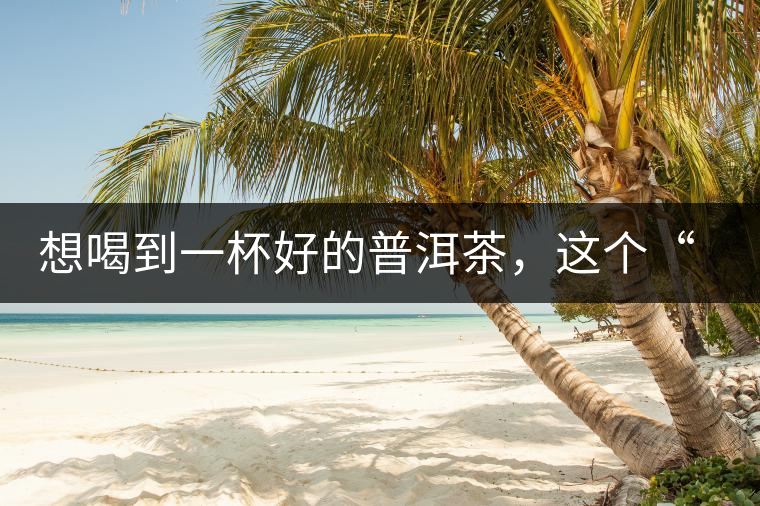 想喝到一杯好的普洱茶，這個“醒茶”步驟很關鍵