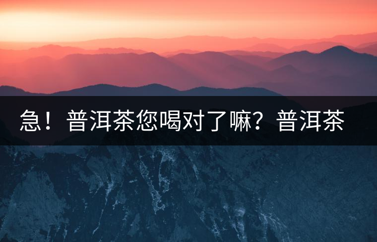 急！普洱茶您喝對(duì)了嘛？普洱茶的十八般武藝