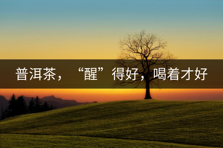 普洱茶，“醒”得好，喝著才好