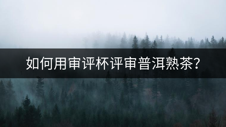 如何用審評(píng)杯評(píng)審普洱熟茶？