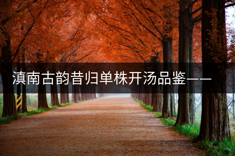 滇南古韻昔歸單株開湯品鑒——獨(dú)樹一味 滇南古韻昔歸單株開湯品鑒——獨(dú)樹一味