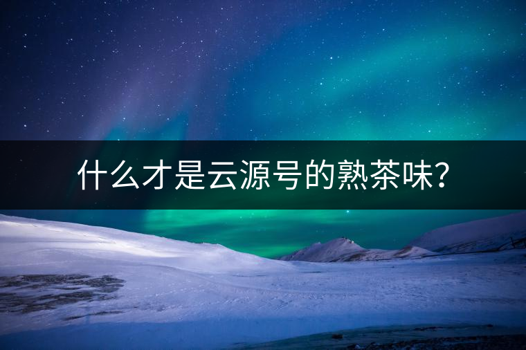 什么才是云源號(hào)的熟茶味？