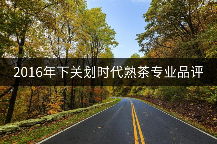 2016年下關(guān)劃時(shí)代熟茶專業(yè)品評(píng)