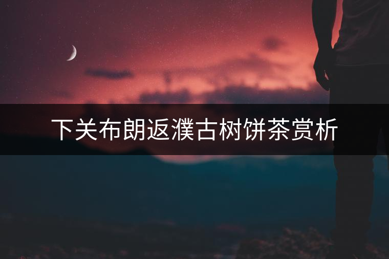 下關(guān)布朗返濮古樹餅茶賞析