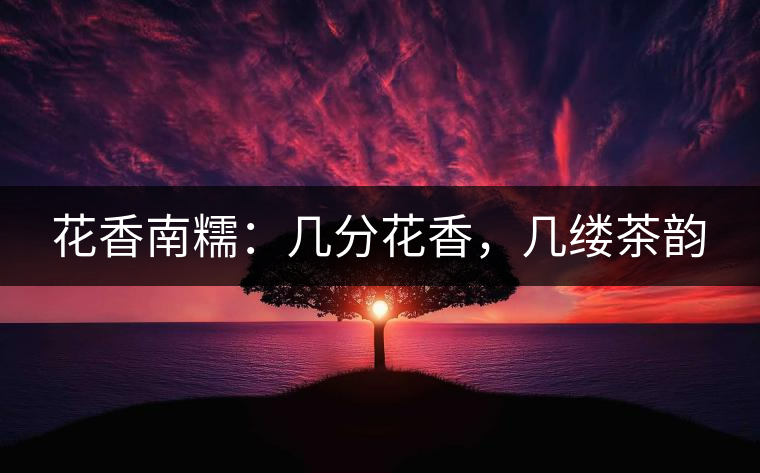 花香南糯：幾分花香，幾縷茶韻