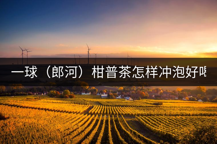 一球（郎河）柑普茶怎樣沖泡好喝？