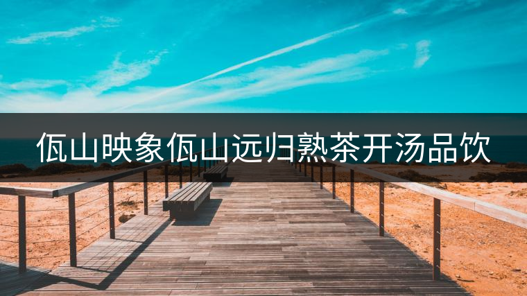 佤山映象佤山遠(yuǎn)歸熟茶開(kāi)湯品飲