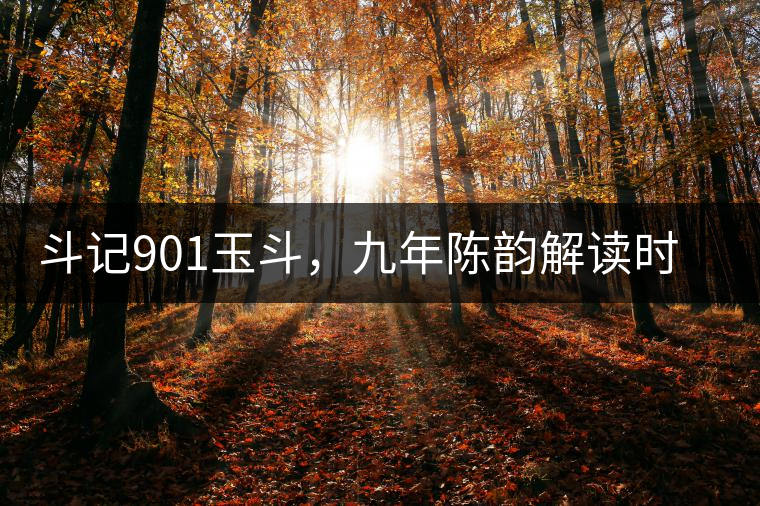 斗記901玉斗，九年陳韻解讀時間之味