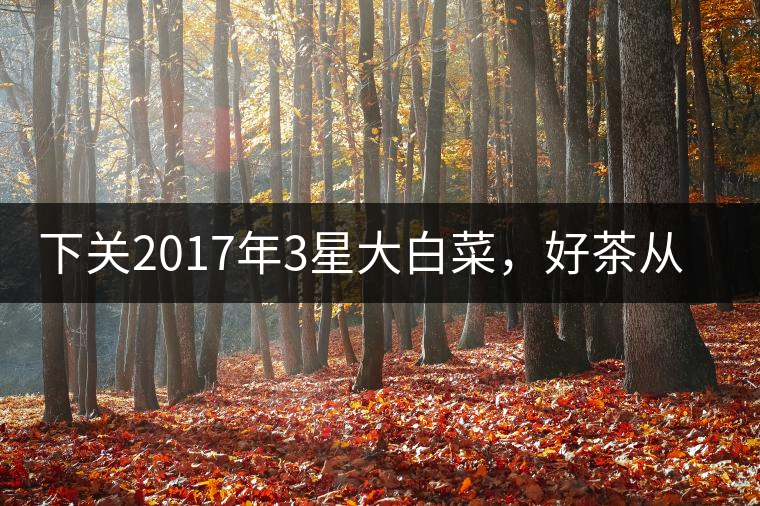 下關(guān)2017年3星大白菜，好茶從未中斷