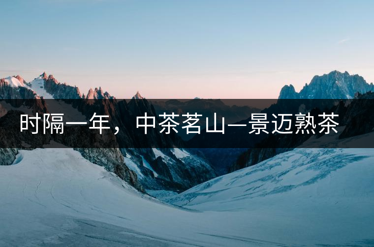 時隔一年，中茶茗山—景邁熟茶有哪些變化