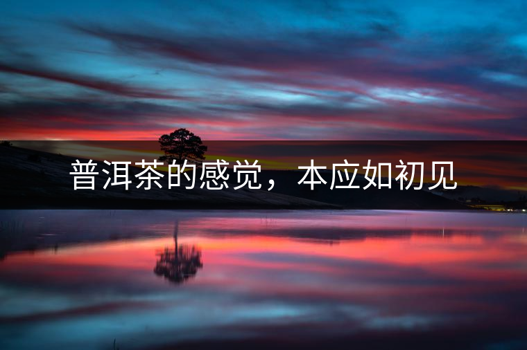 普洱茶的感覺，本應(yīng)如初見