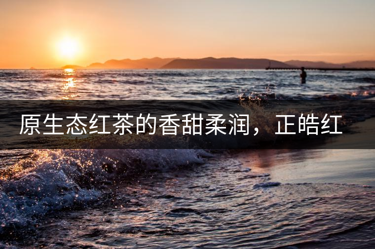 原生態(tài)紅茶的香甜柔潤(rùn)，正皓紅的魅力無(wú)可抵擋！