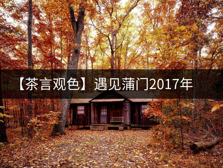 【茶言觀色】遇見(jiàn)蒲門2017年茗門一級(jí)工夫紅茶