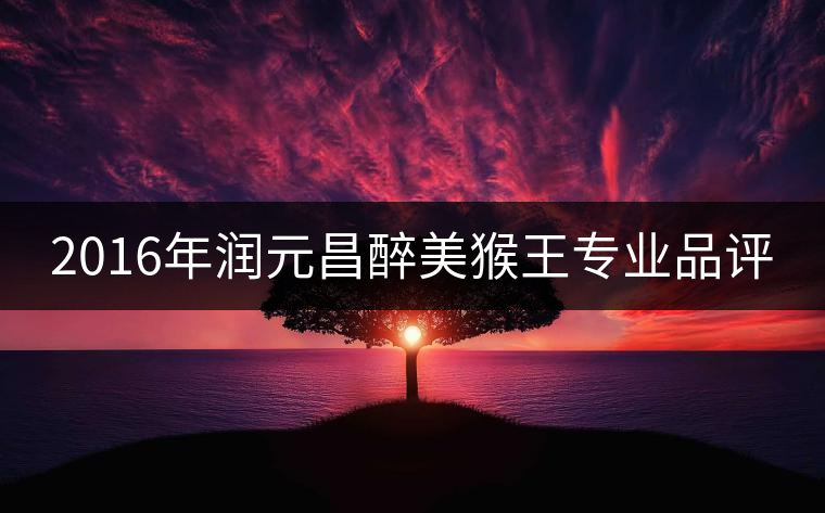 2016年潤元昌醉美猴王專業(yè)品評(píng)