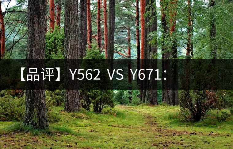 【品評】Y562  VS  Y671：各有千秋，互為補(bǔ)充
