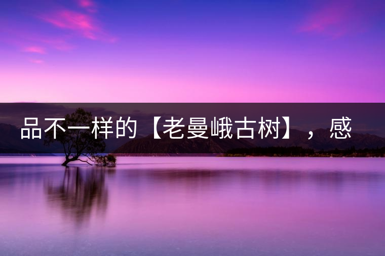 品不一樣的【老曼峨古樹(shù)】，感受別樣甘甜與溫婉