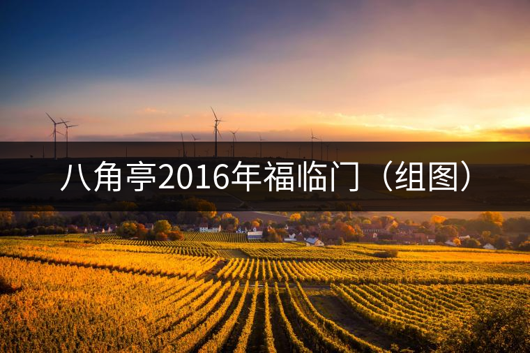 八角亭2016年福臨門(組圖) 八角亭2016年福臨門(組圖)