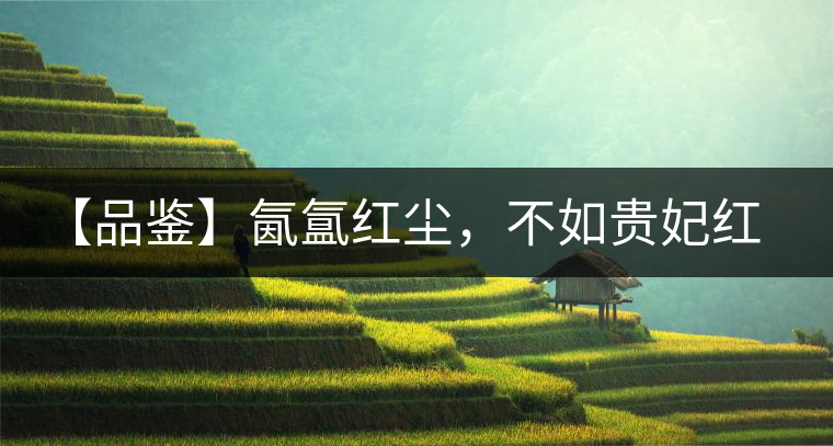 【品鑒】氤氳紅塵，不如貴妃紅一盞