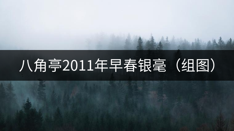 八角亭2011年早春銀毫(組圖) 八角亭2011年早春銀毫(組圖)