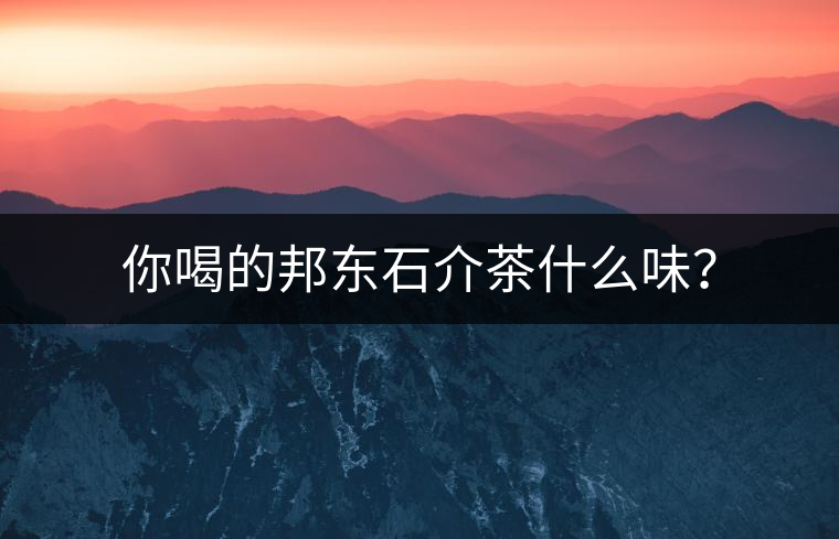 你喝的邦東石介茶什么味？