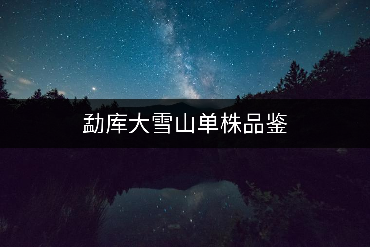 勐庫大雪山單株品鑒 勐庫大雪山單株品鑒