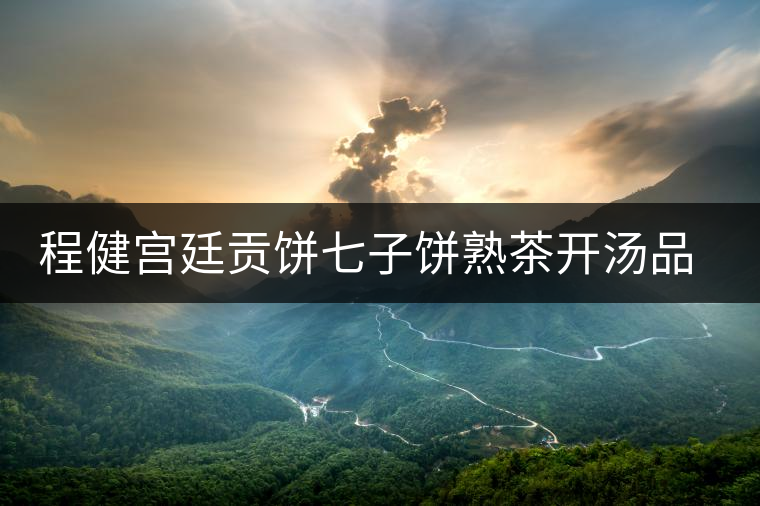 程健宮廷貢餅七子餅熟茶開(kāi)湯品鑒